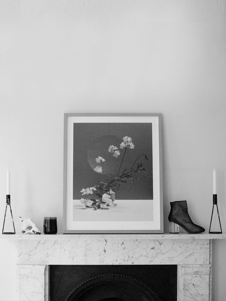 
                  
                    Load image into Gallery viewer, DUSK - Lilac Bloom + Ylang Ylang + Tobacco Leaf
                  
                